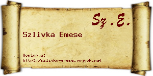 Szlivka Emese névjegykártya